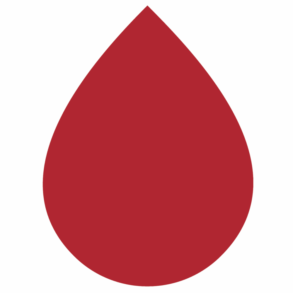 Textielverf Rit All-Purpose Dye Cherry Red - Kleurstof - Afbeelding 2
