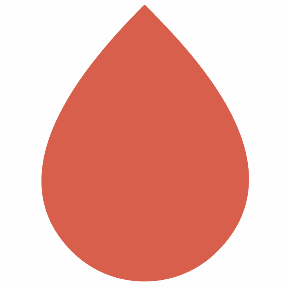 Textile paint Rit All-Purpose Dye Coral - Dye - Image 2