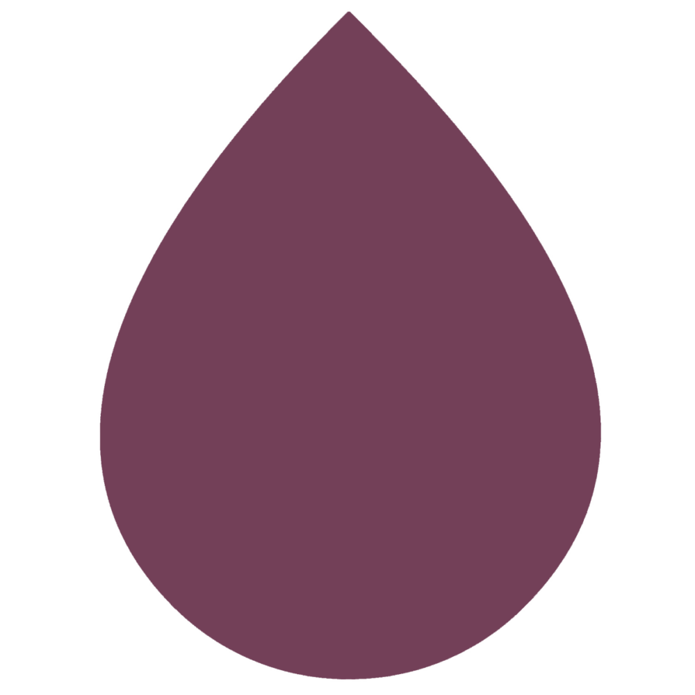 Rit DyeMore Plum Berry - Textile dye for synthetic fabrics - Image 2