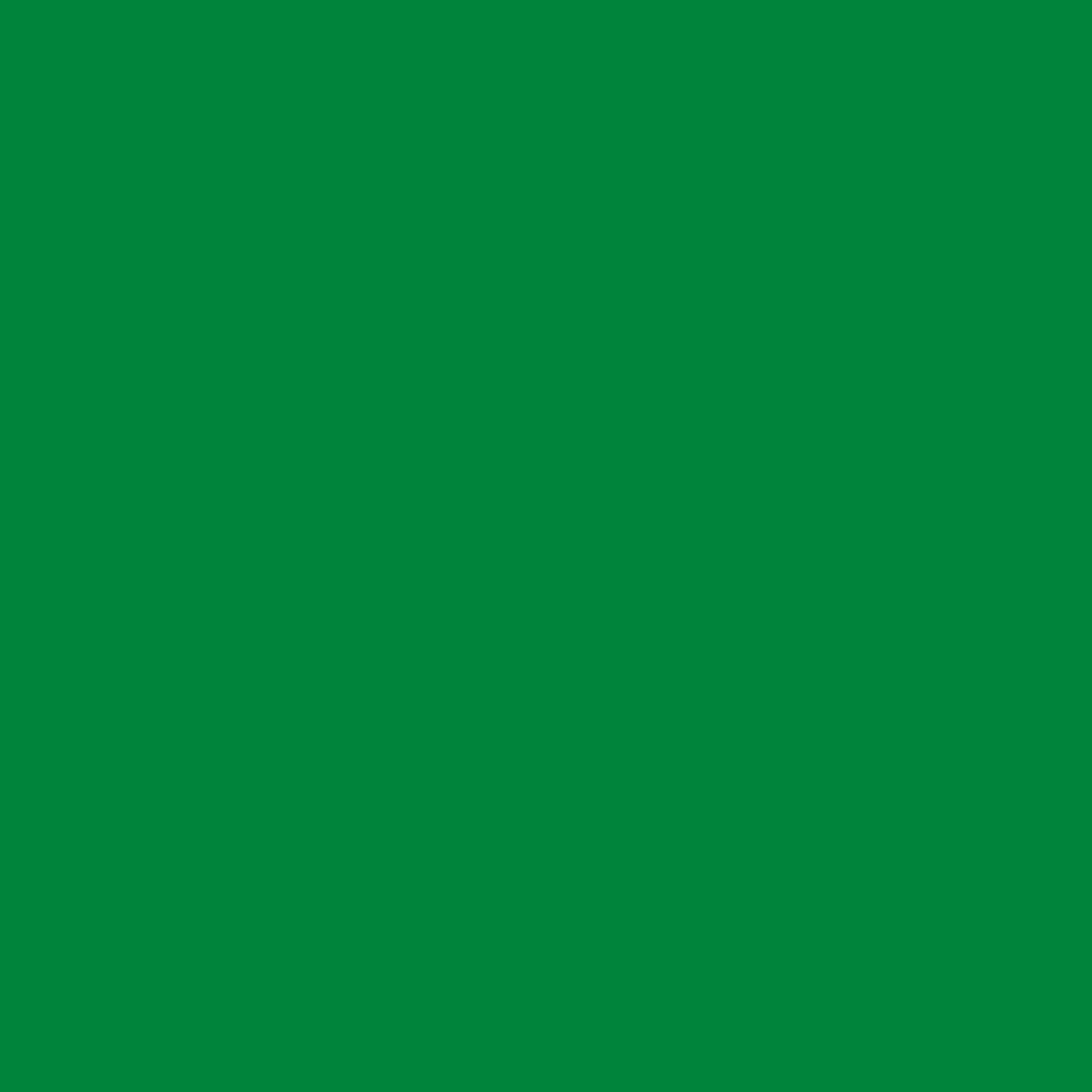 Textielverf Acid Dye (kleurstof) - Emerald - Afbeelding 2